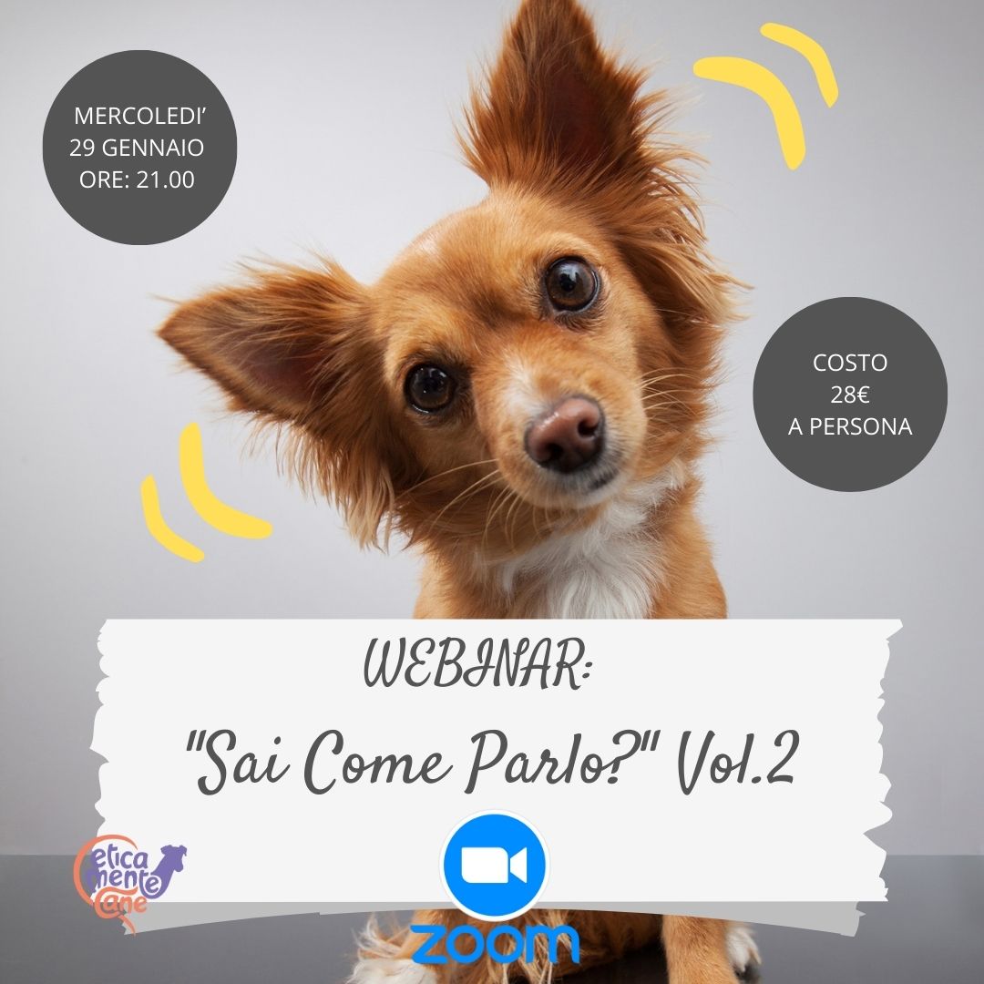 Webinar: Sai come parlo? Vol. 2