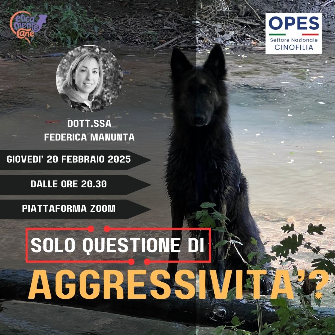 Webinar: Solo questione di Aggressivita’?